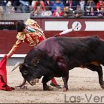 Foto: Juan Pelegrín